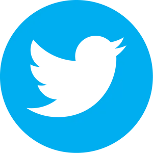 Twitter Logo Icon PNG Image