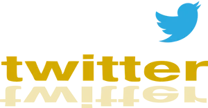 Twitter Logo Reflection PNG Image