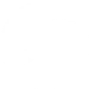 Twitter Logo Silhouette PNG Image