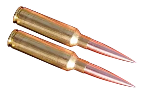 Two Ammunition Rounds PNG Image