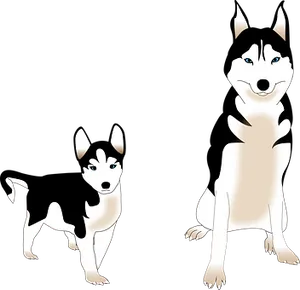 Two Cartoon Huskies Illustration PNG Image