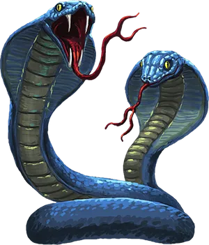 Two Cobras Illustration PNG Image