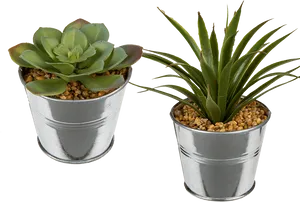 Two Succulentsin Metal Pots PNG Image