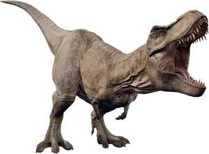 Tyrannosaurus Rex Full Body Roar PNG Image