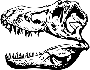 Tyrannosaurus Rex Skull Vector PNG Image