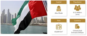 U A E Flag Dubai Skyline Infographic PNG Image