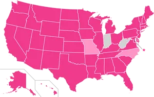 U S A Map Pinkand Black PNG Image