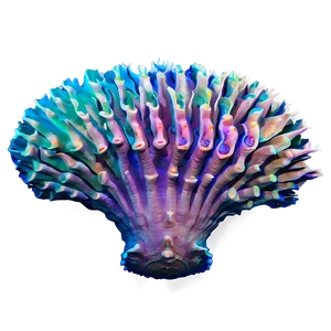 Undersea Reef Adventure Png 9 PNG Image