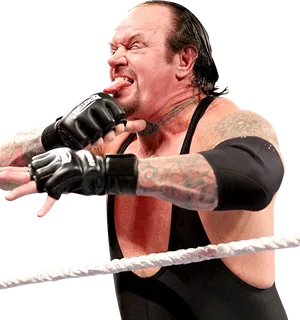 Undertaker Wrestling Pose PNG Image