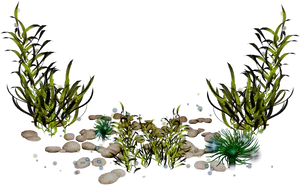 Underwater Seaweed Scene PNG Image