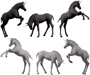 Unicorn_ Foals_ In_ Various_ Poses PNG Image