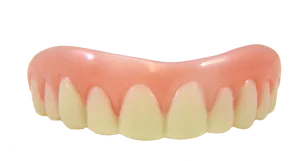 Upper Denture Model.png PNG Image