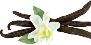 Vanilla Beansand Flower PNG Image