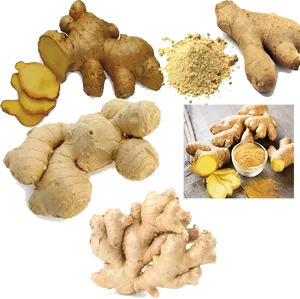 Varietiesof Ginger Rootand Powder PNG Image