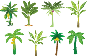 Varietyof Banana Trees Illustration PNG Image