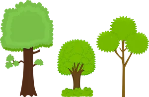 Varietyof Cartoon Trees Illustration PNG