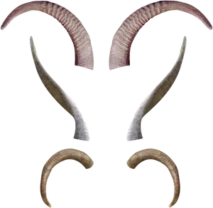 Varietyof Goat Horns PNG Image