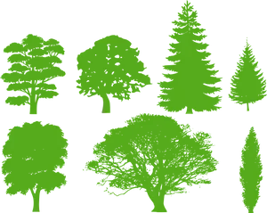 Varietyof Green Tree Silhouettes PNG Image