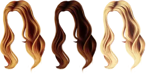 Varietyof Hair Colorsand Styles PNG Image