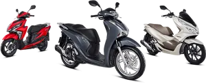 Varietyof Honda Scooters PNG Image