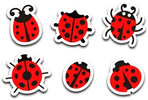 Varietyof Ladybug Illustrations PNG Image