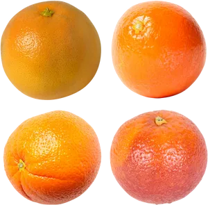 Varietyof Mandarins Image PNG Image