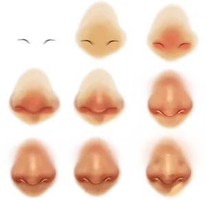 Varietyof Noses Illustration PNG Image