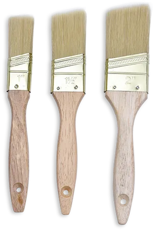 Varietyof Paint Brushes PNG Image