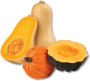 Varietyof Squash Display.png PNG Image