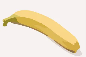 Vector Banana Illustration PNG Image