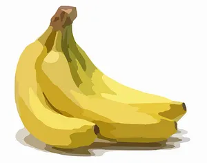 Vector Bananas Illustration PNG Image