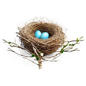 Vector Bird Nest Png Mfd6 PNG Image