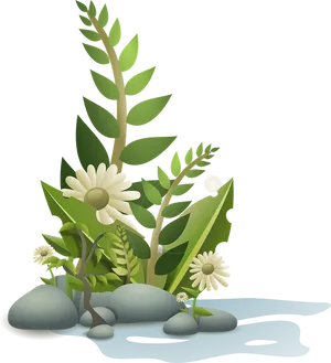 Vector Illustration Floral Composition Stones Water PNG Image