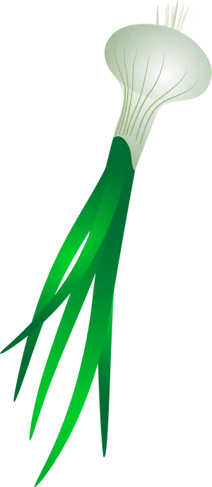 Vector Illustrationof Leek PNG Image