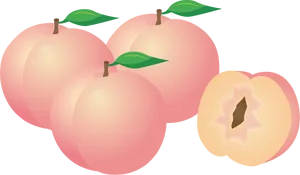 Vector Illustrationof Peaches PNG Image