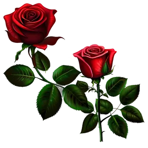 Vector Rose B PNG Image