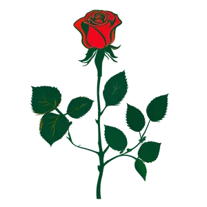 Vector Rose Silhouette Png Odr PNG Image