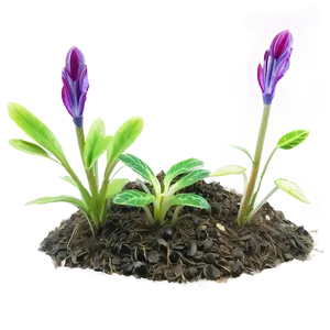 Vegetation Sprout Png Qcg PNG Image