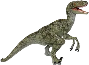 Velociraptor Illustration Jurassic Park PNG Image