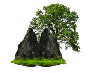 Verdant Rock Island PNG Image