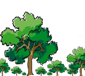 Verdant_ Tree_ Cartoon_ Illustration PNG