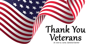 Veterans Day Appreciation American Flag PNG Image