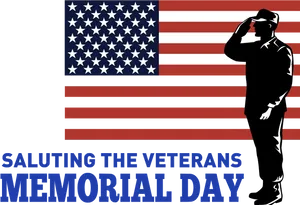 Veterans Day Salute American Flag PNG Image