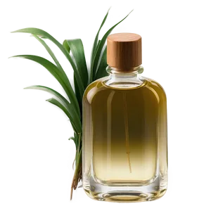 Vetiver Essential Art Png 06292024 PNG Image