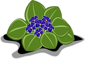 Vibrant African Violets Illustration PNG Image