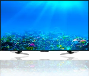 Vibrant Aquarium Displayon L E D T V PNG Image