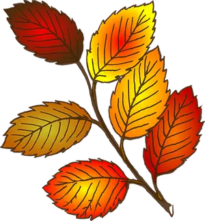 Vibrant Autumn Leaves Illustration