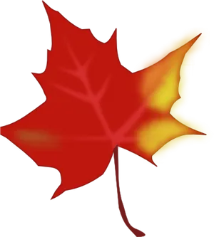 Vibrant Autumn Maple Leaf PNG Image