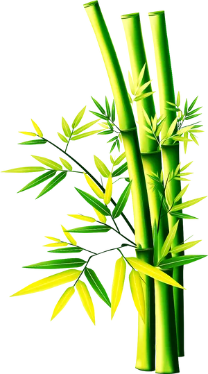 Vibrant Bamboo Stalks PNG Image