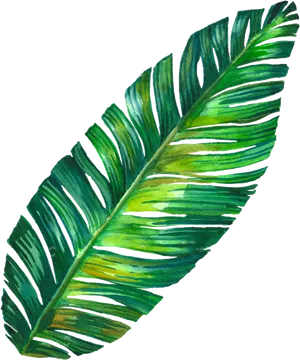 Vibrant Banana Leaf Artwork PNG Image